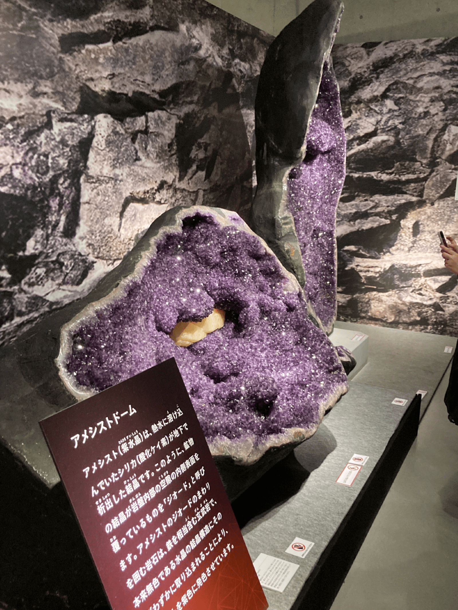 Featured image of post 【国立科学博物館 宝石展】自力で稼いでも届かない次元の宝石に会いに行った話